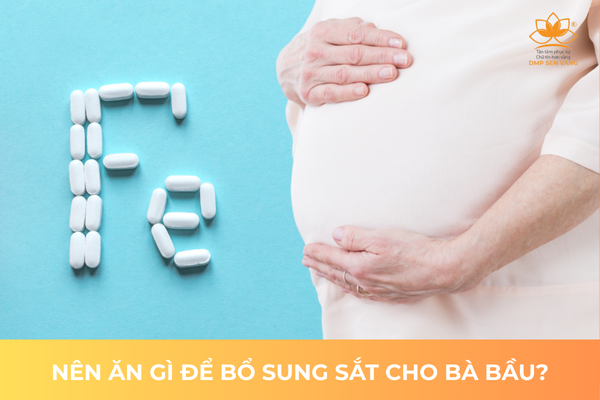 Nên Ăn Gì Để Bổ Sung Sắt Cho Bà Bầu? 